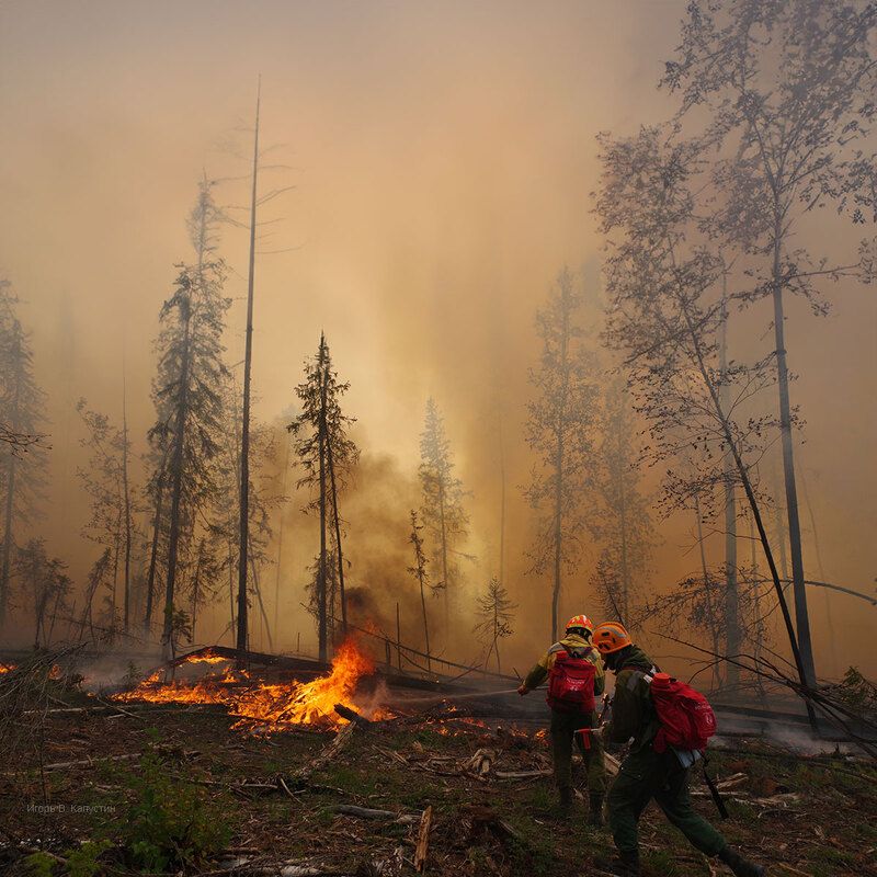 *** фото превью