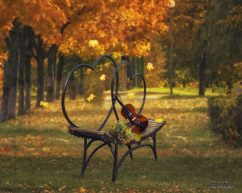 Осенняя мелодия фото превью