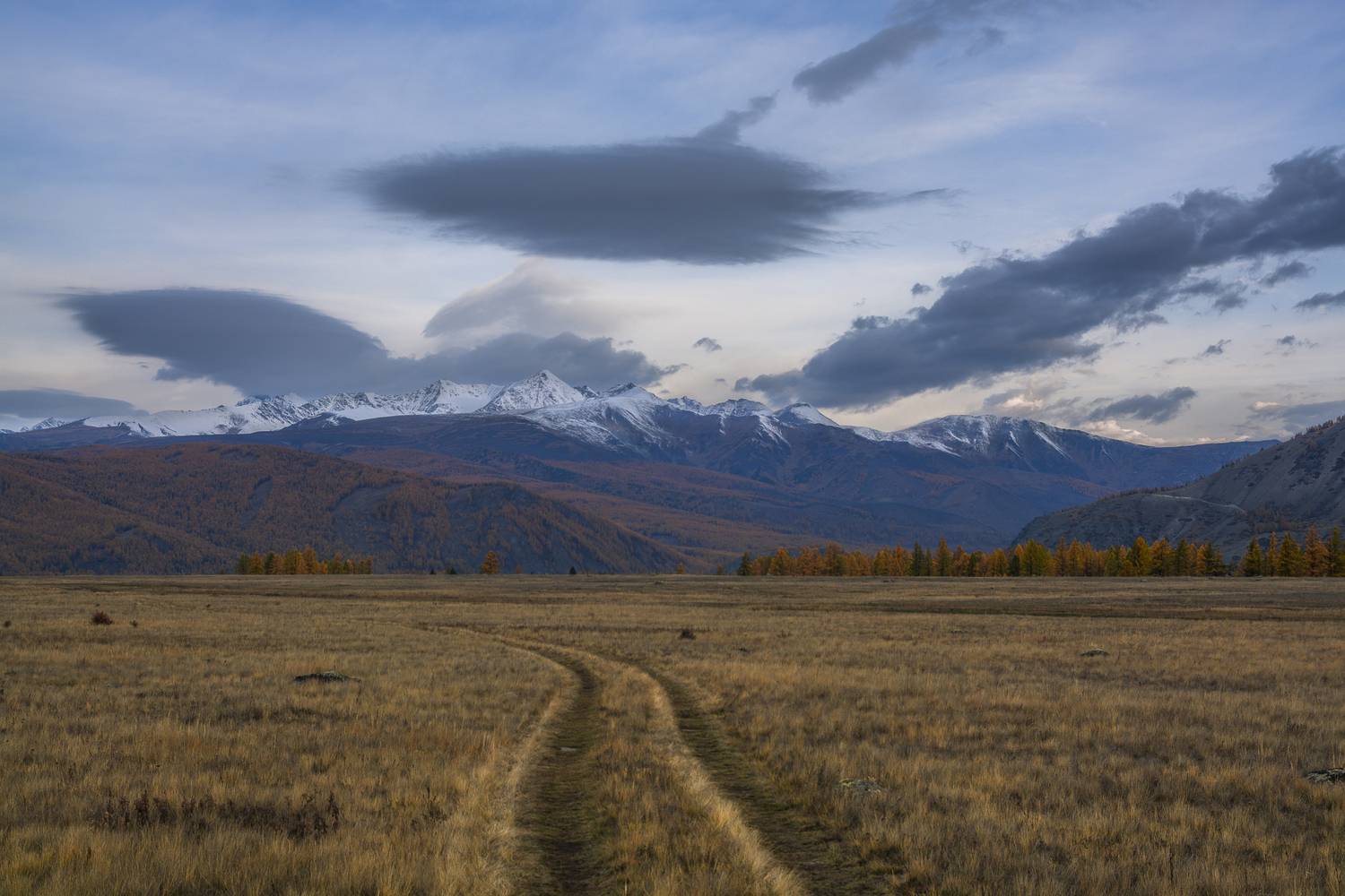 россия, горный алтай, степь, степь среди гор, утро, осень, Андрей Поляков