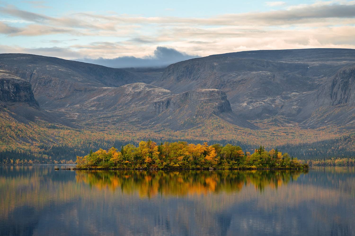 , Ян Сурогин