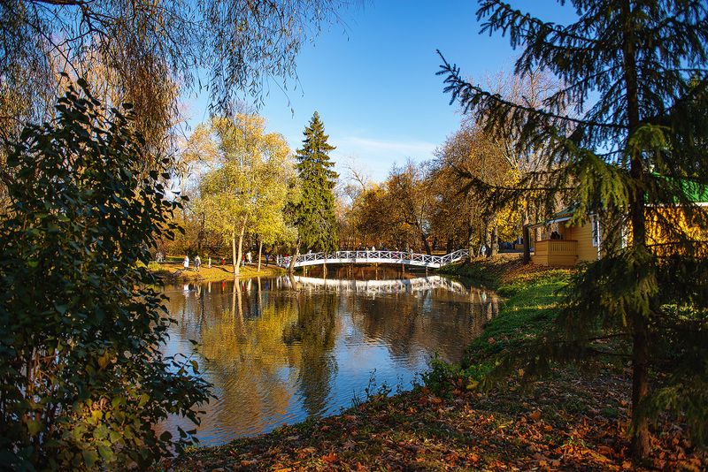 природа, осень, болдино Большое Болдино фото превью