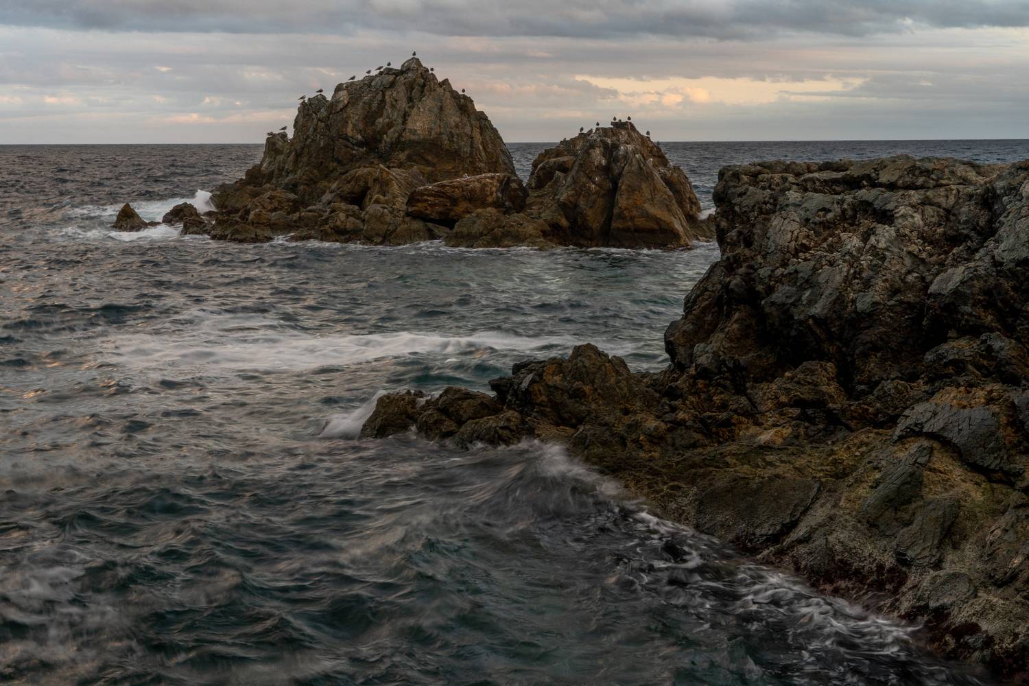 Россия, Приморский край, Японское море, полуостров Гамова, бухта Теляковского, чайки, Приморье, , Гаврилов Юрий