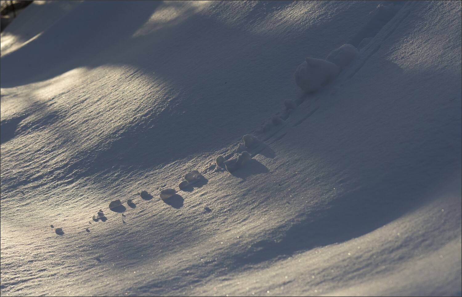 снег, Беляев Юрий