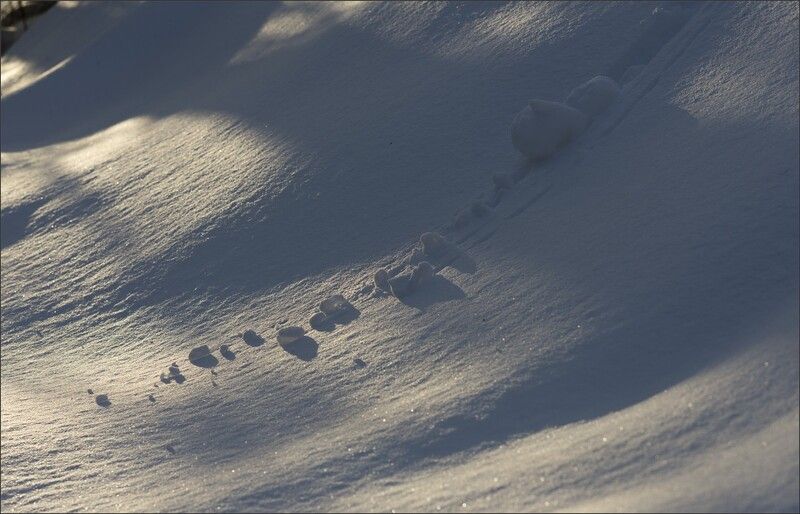 снег ** * фото превью