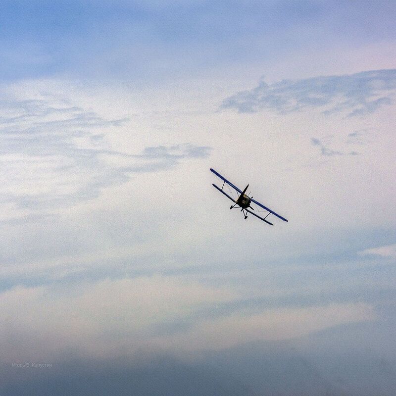 *** фото превью