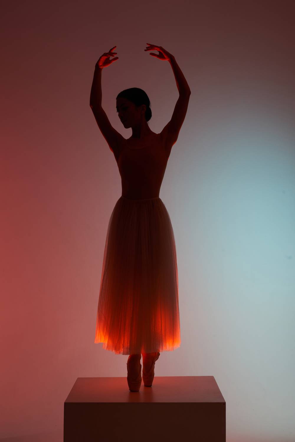 , Дарья Комарова