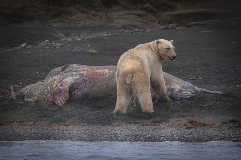 Кто посмел оторвать от еды? фото превью