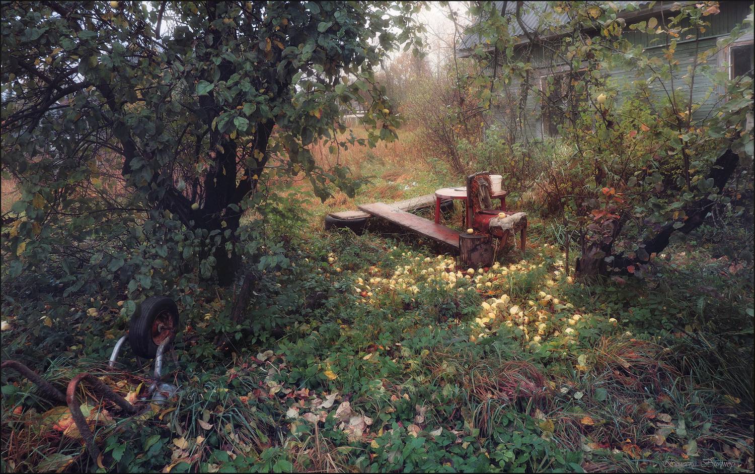 , Болеско Виктор