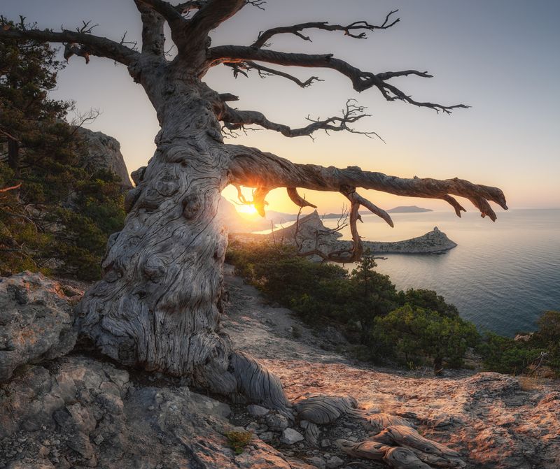 Крым, рассвет, море Старожил фото превью