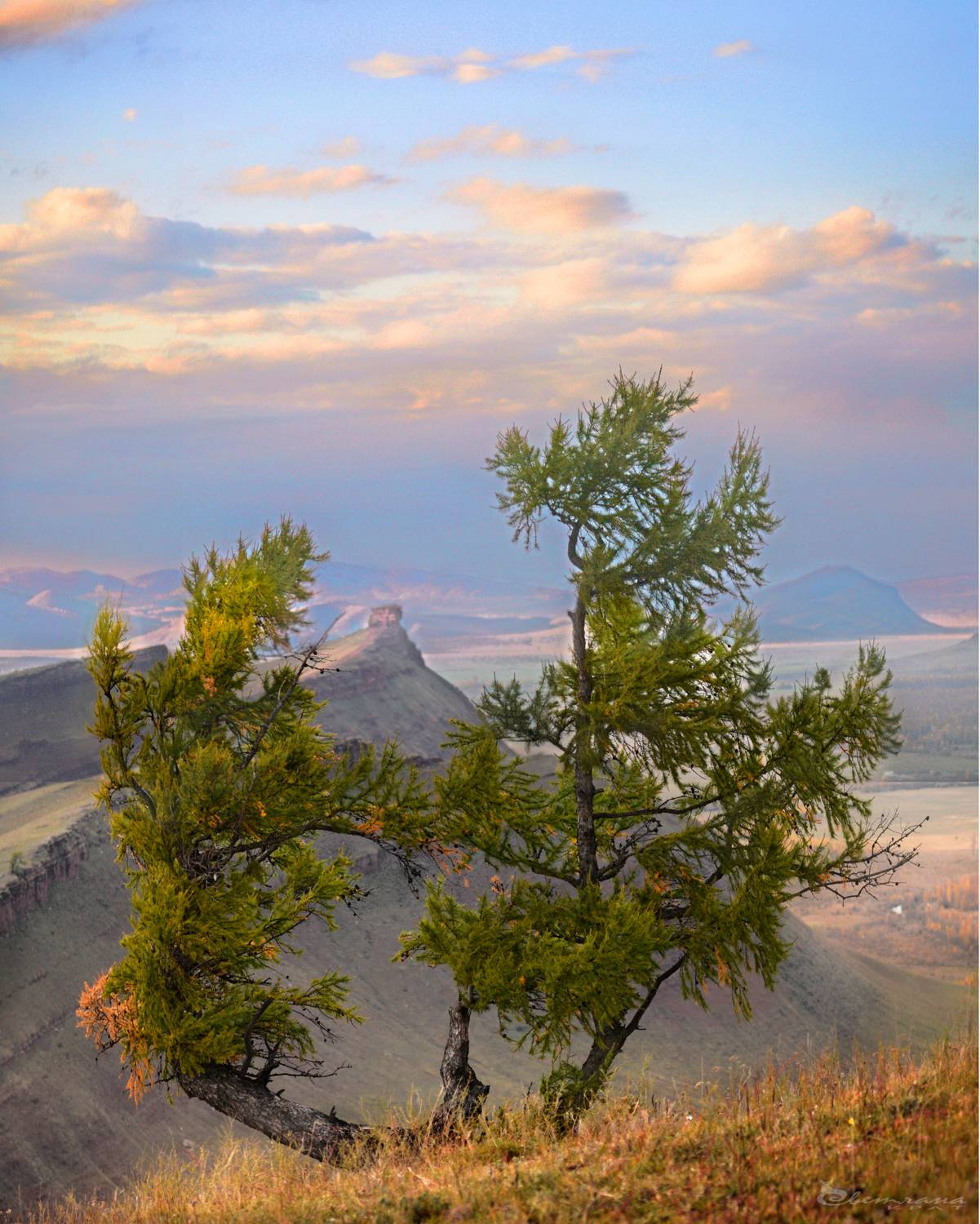 , Крат Светлана