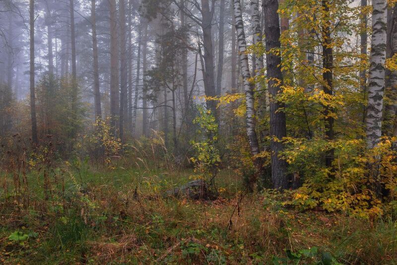 Признаки осени фото превью