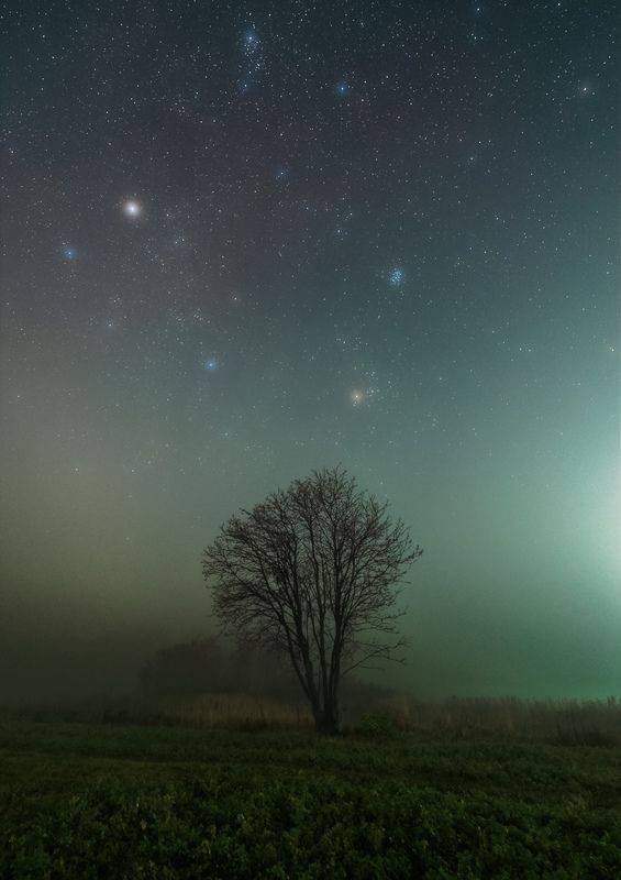 Звёздная ночь в тумане фото превью