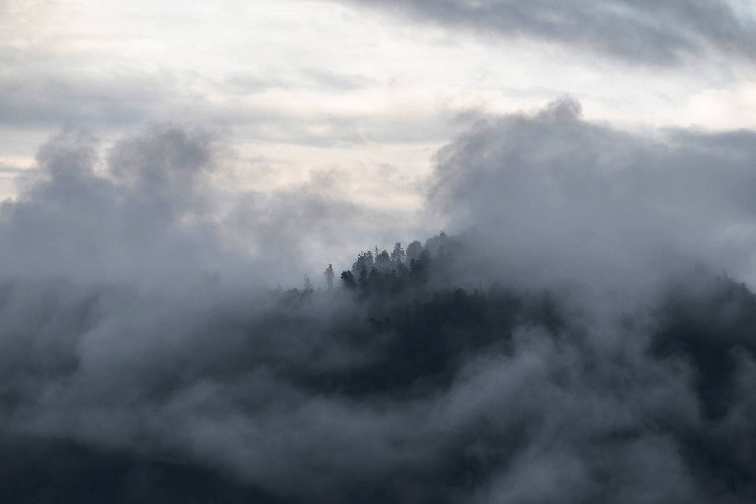 алтай, Станислав