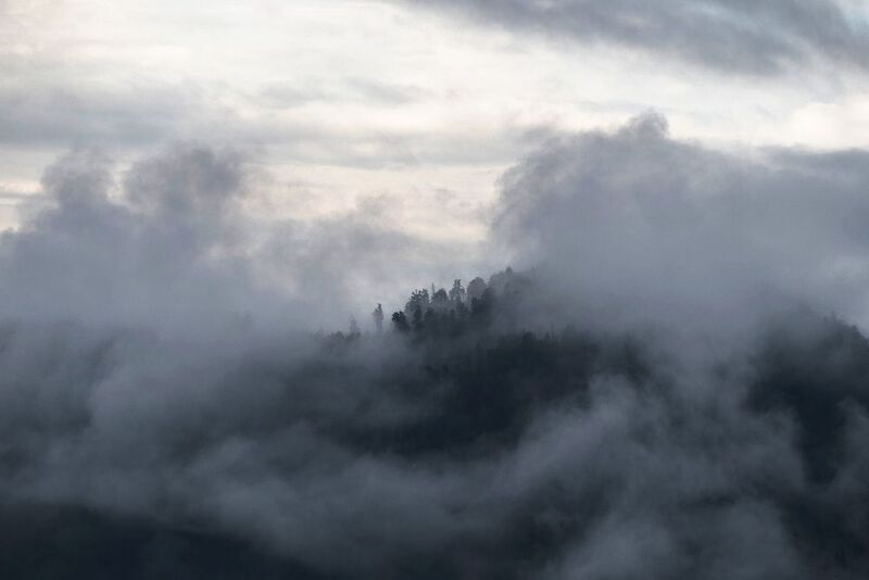 алтай Туманное утро фото превью