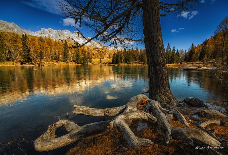 nature landscape dolomites italy lake trees autumn The Dolomites фото превью