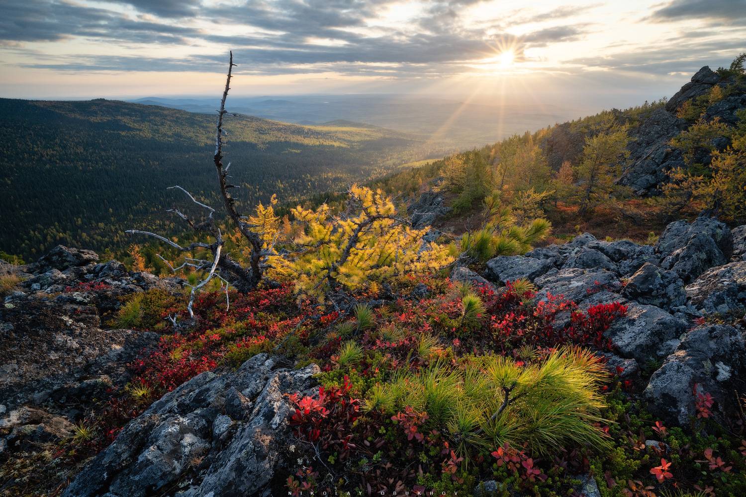 , Обухов Николай