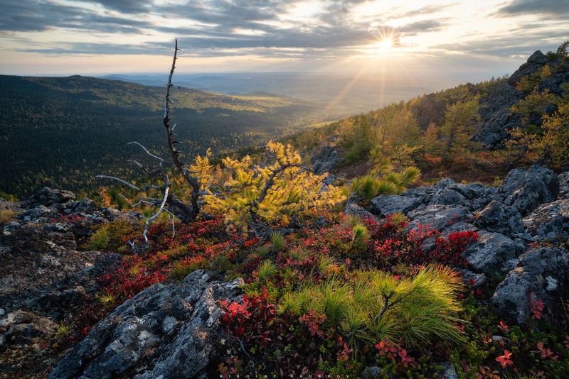 Рассвет на Серебрянском Камне фото превью