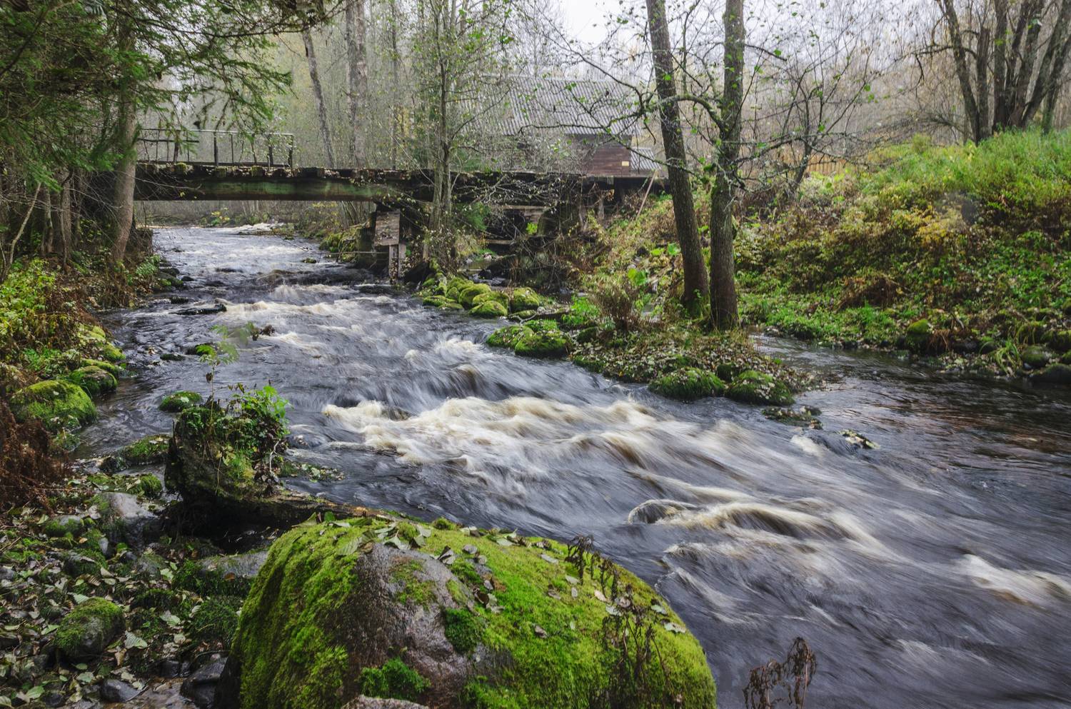 , Алексей Алешин