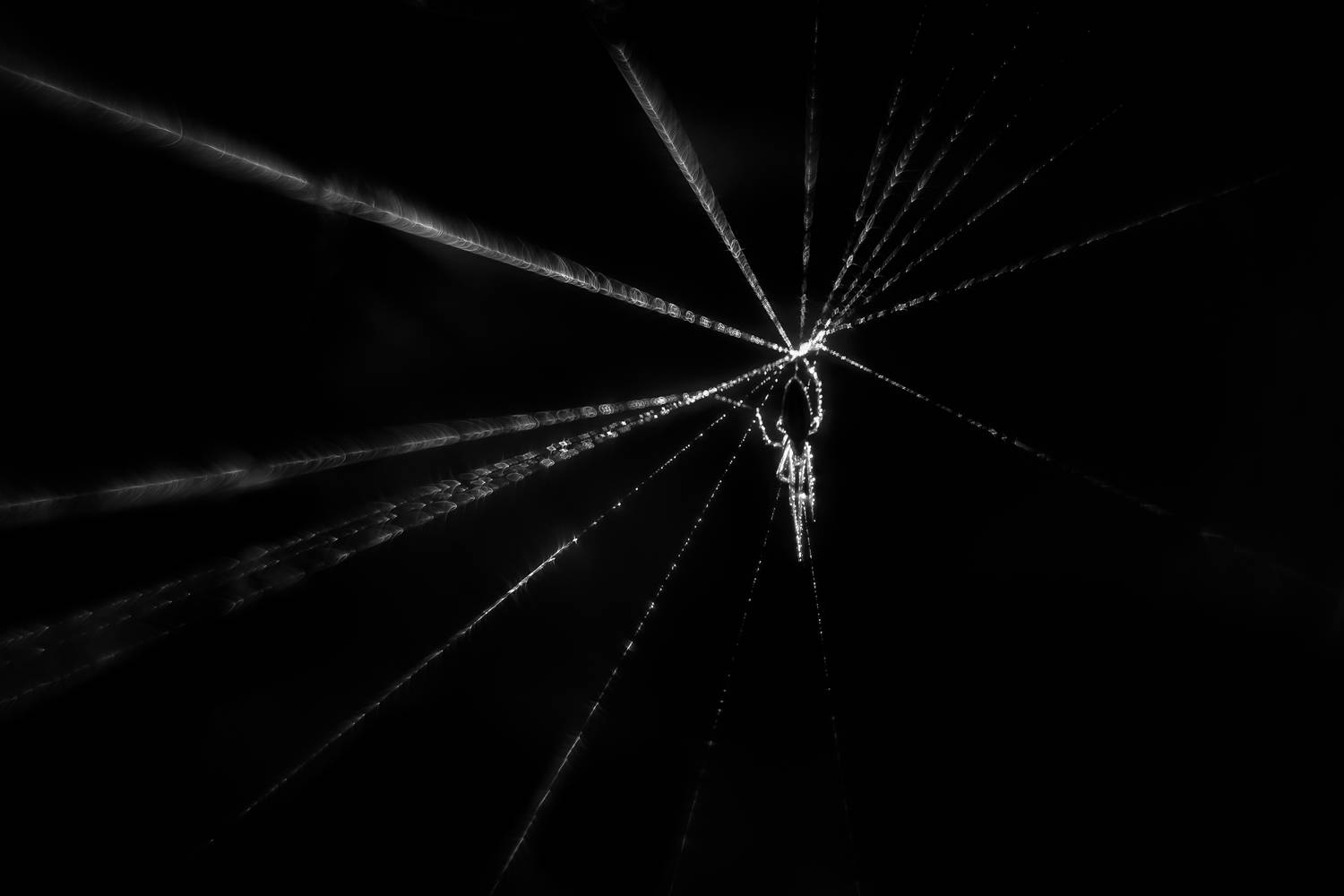 , Ксения Соварцева