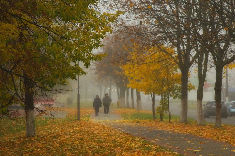 По улицам осенним фото превью