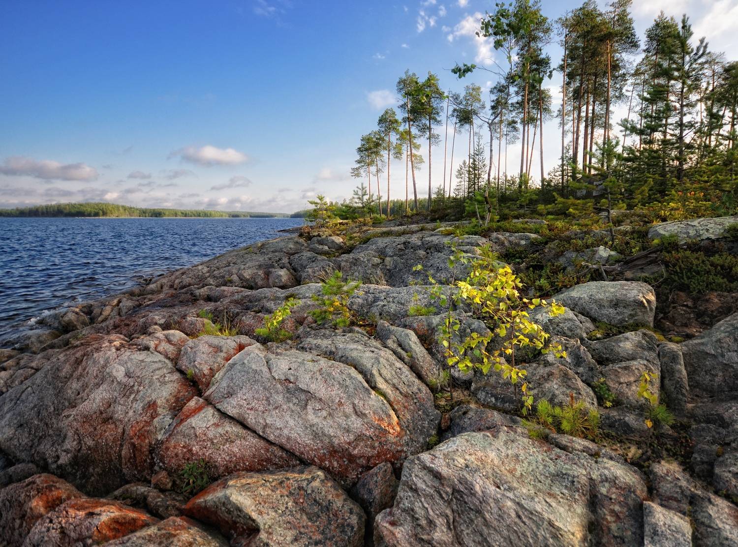 , Андрей Куликов