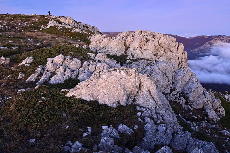 Цвет ночи. фото превью