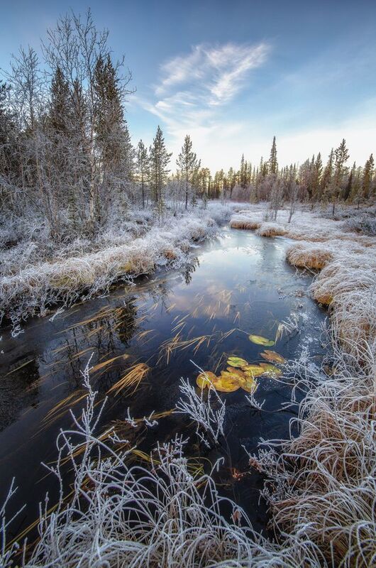 *** фото превью