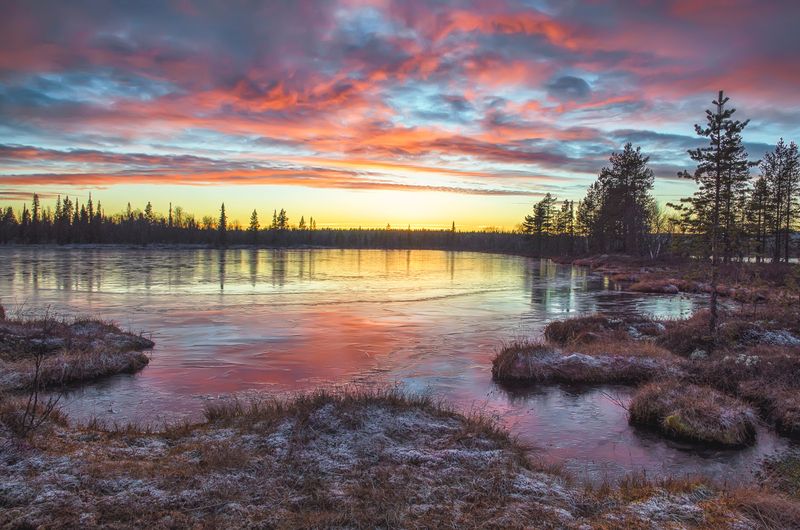 Предзимнее ) фото превью