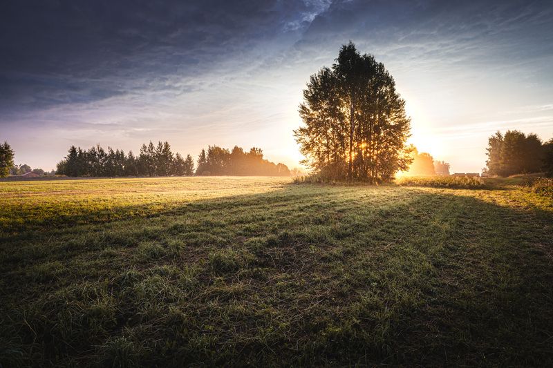 рассвет Рассвет... фото превью