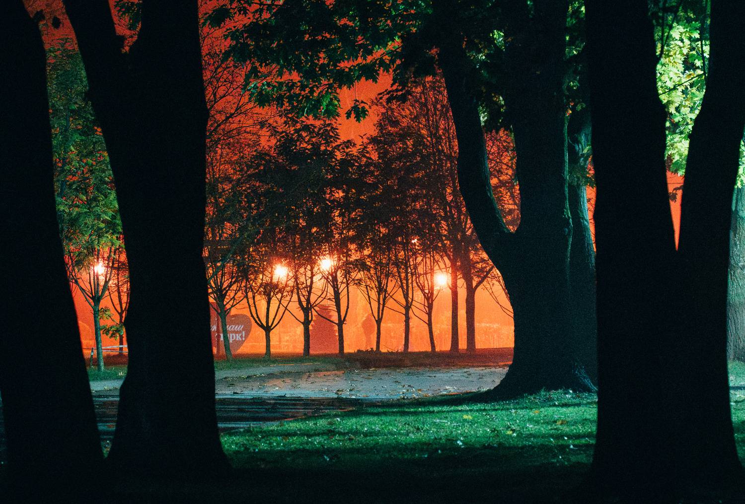 , Алексей Горохов