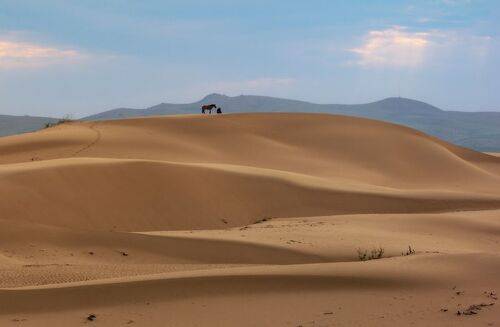 Одиночество песков