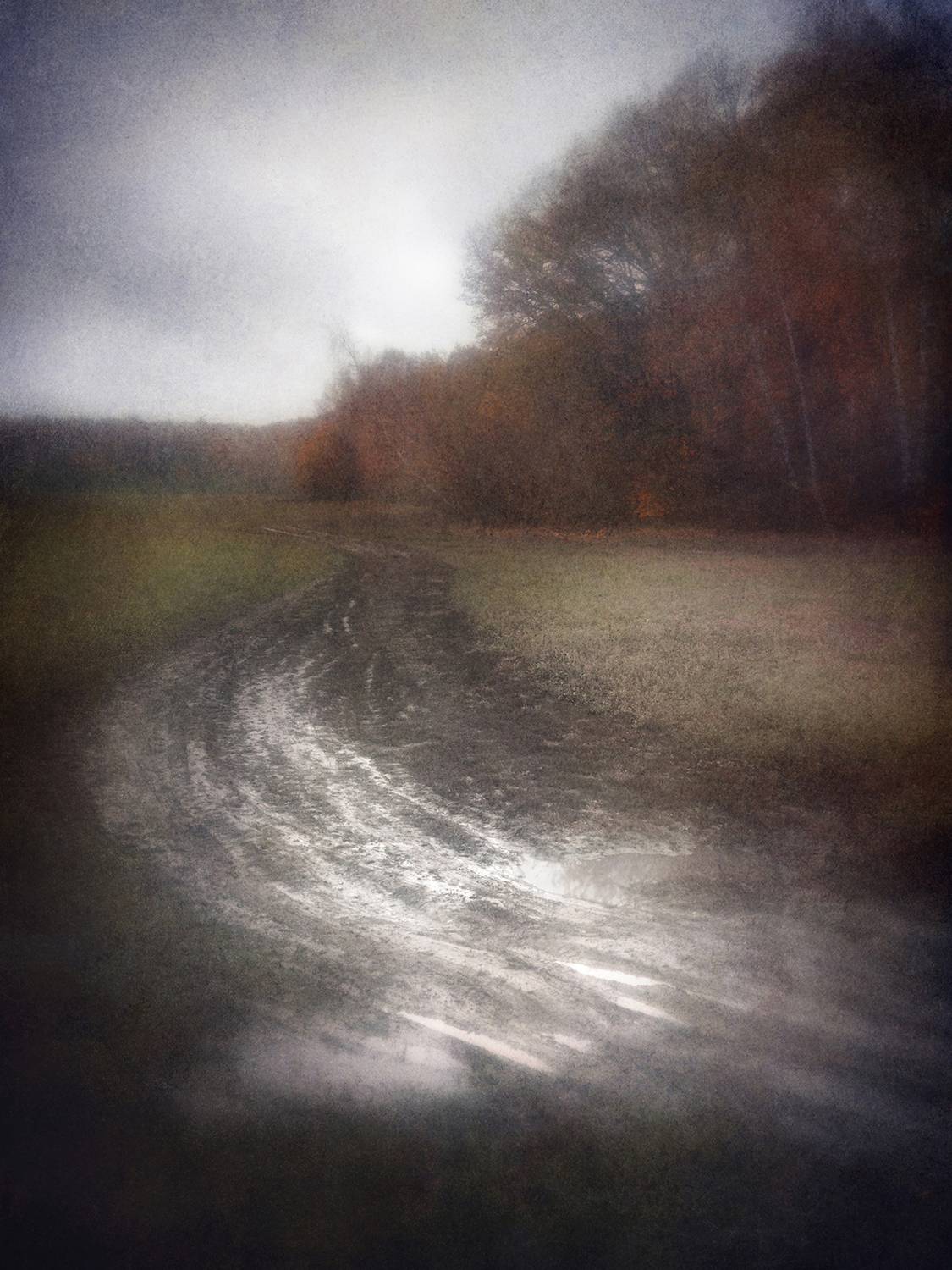 пейзаж, осень, пикториализм, Сергей Кот