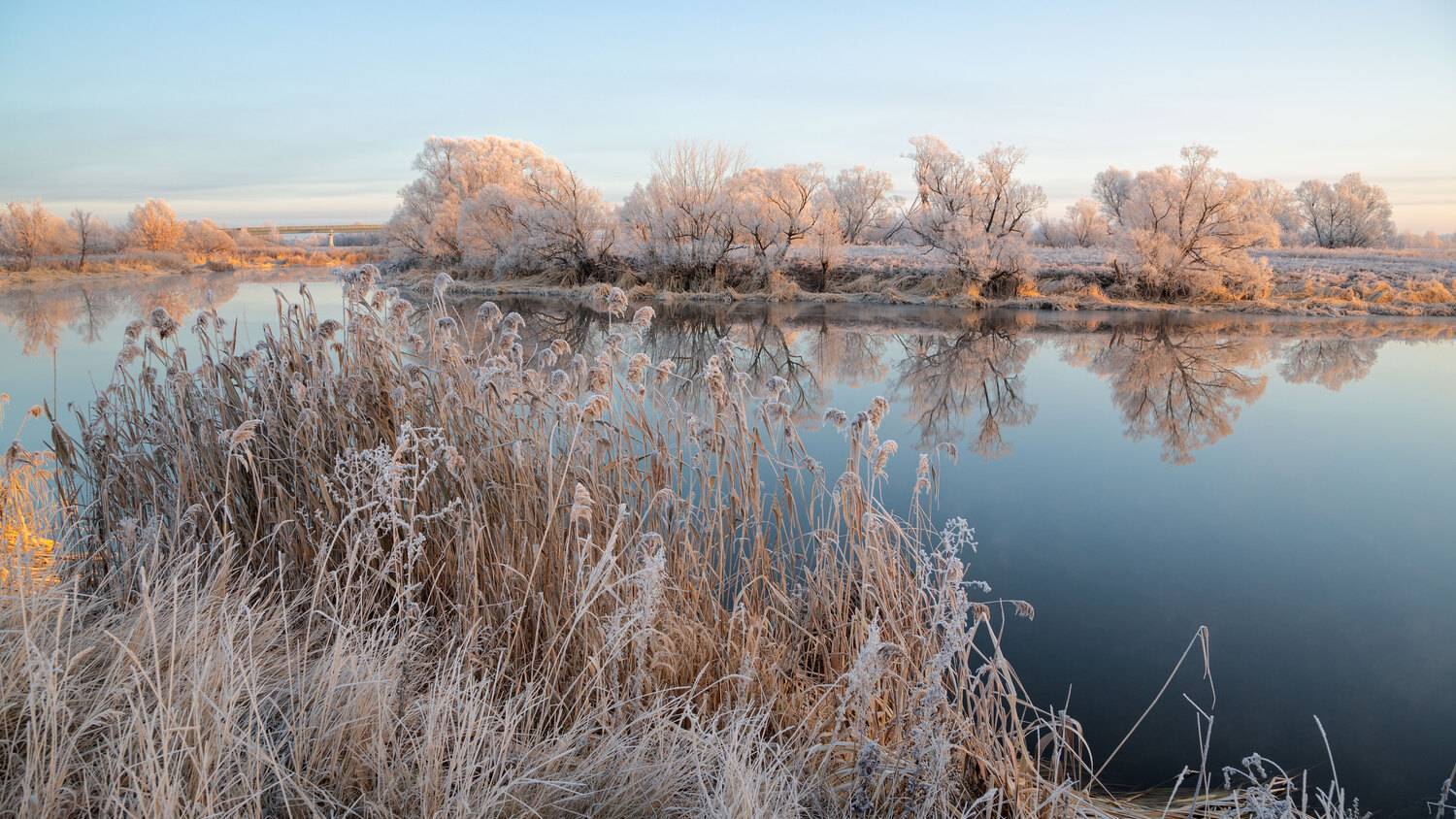 , Александр Бредихин