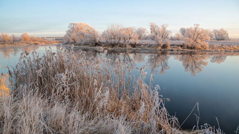 Осень в серебре! фото превью