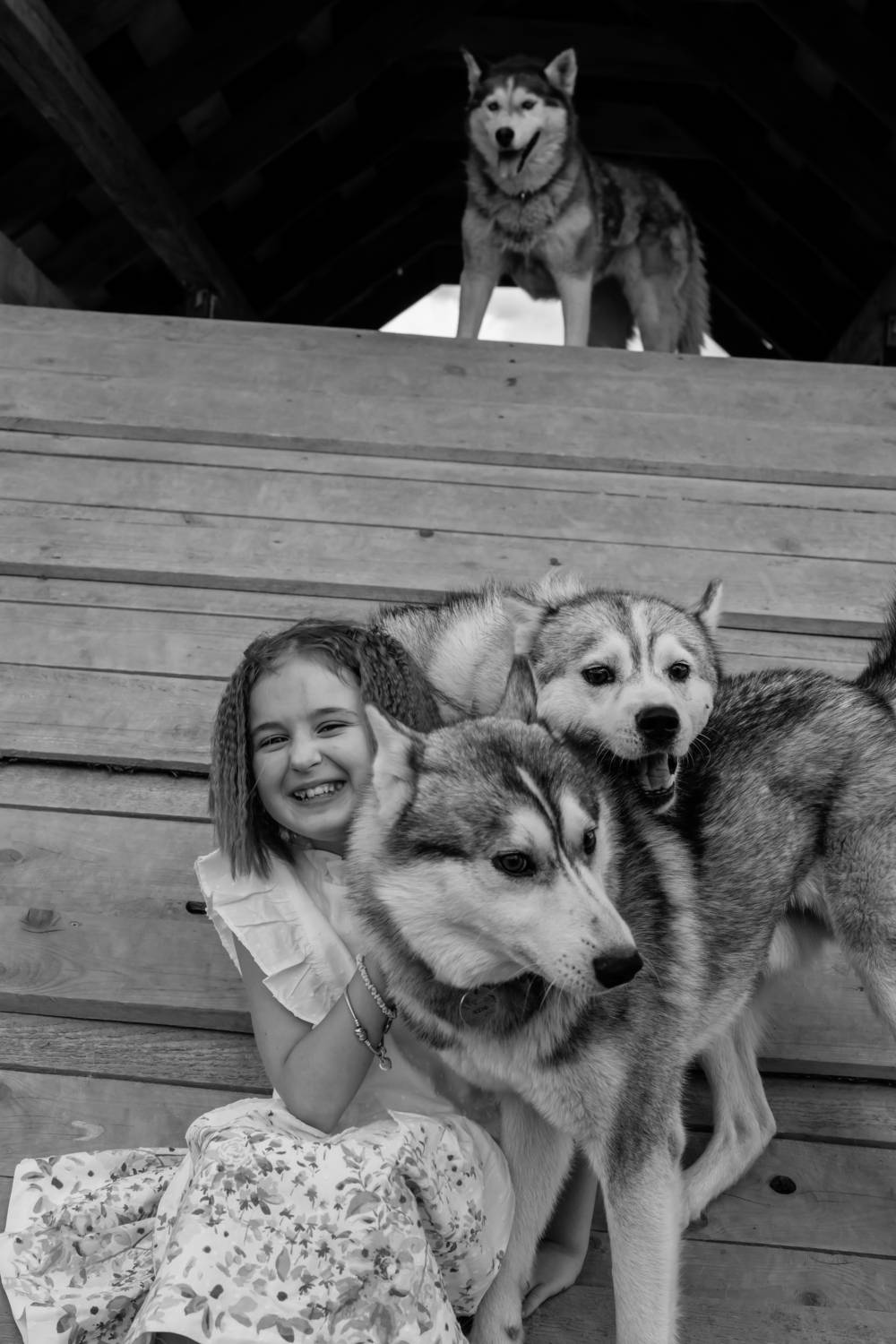 , Шилов Александр