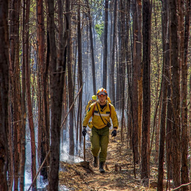 *** фото превью