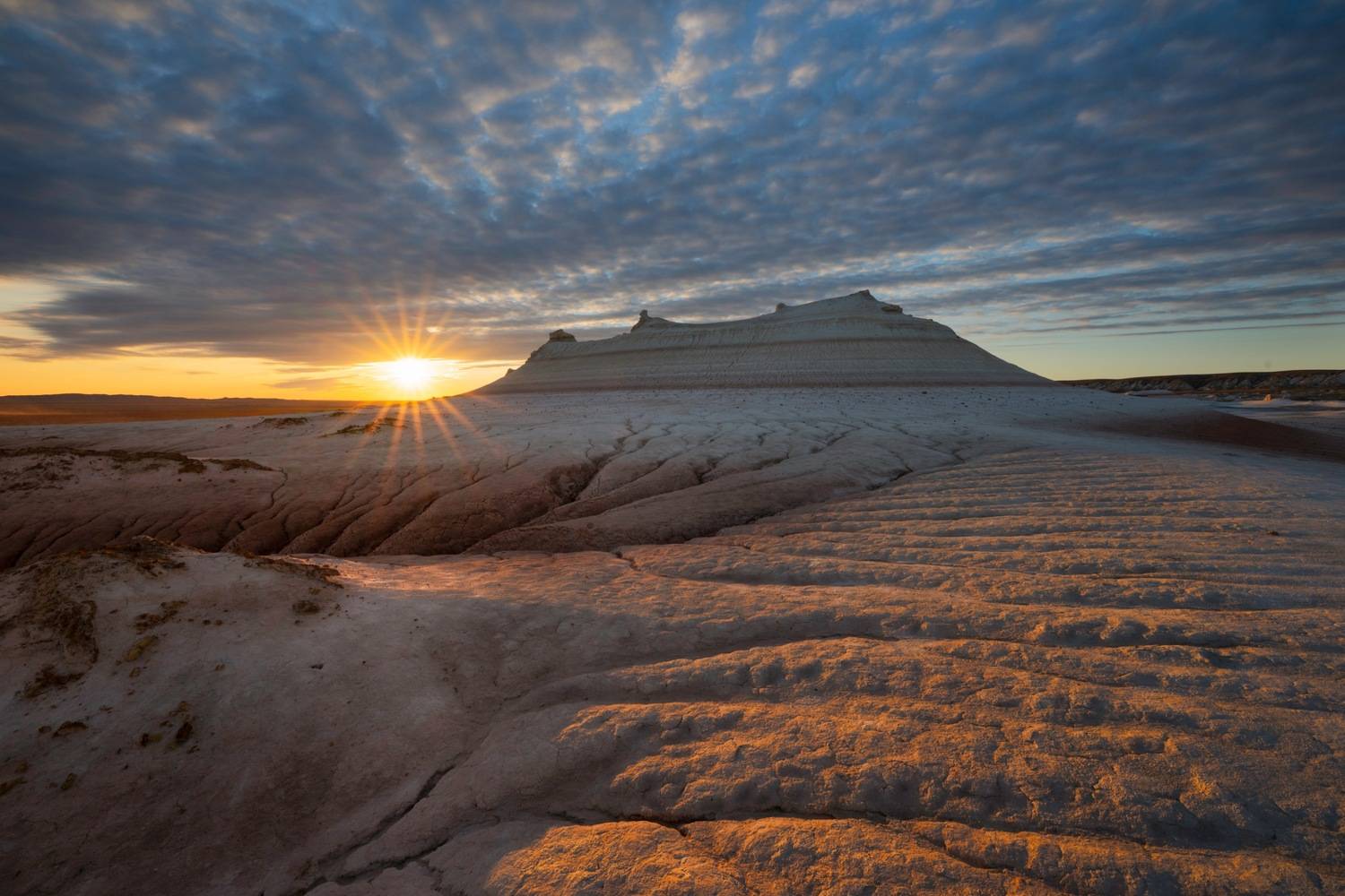 , Ширгин Сергей