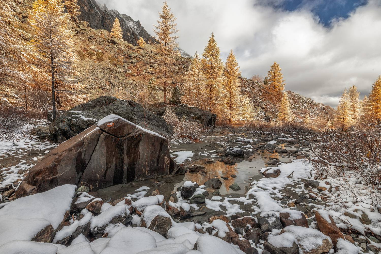 Алтай, Гусева Елена