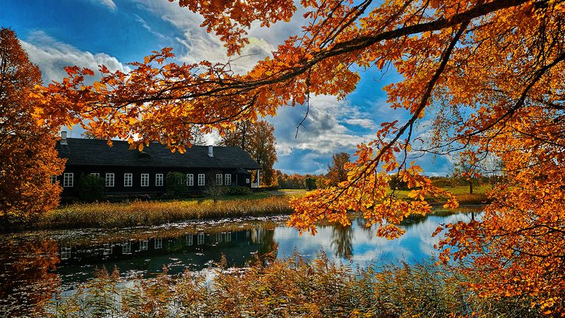 Тригорское фото превью