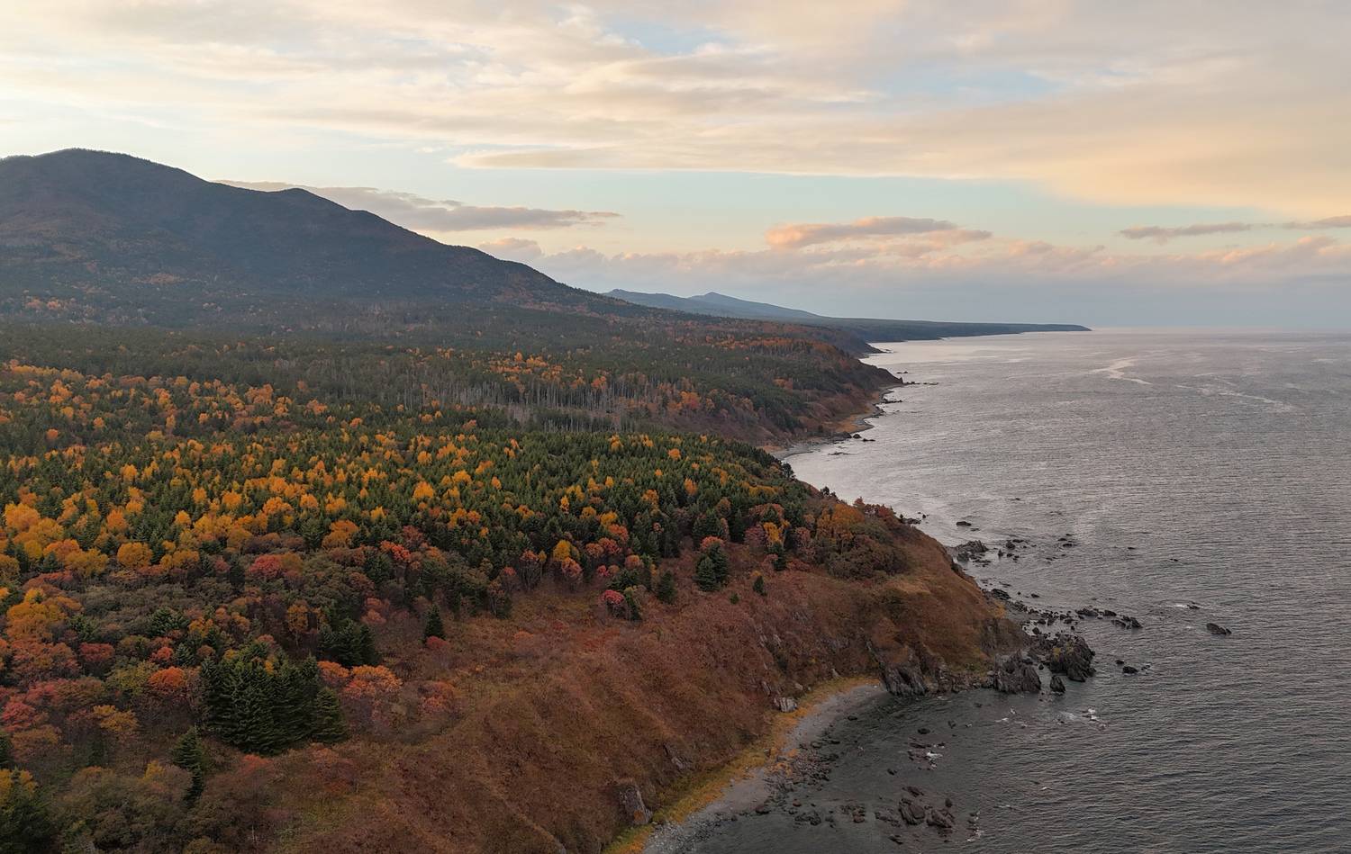 , Артем Удодов
