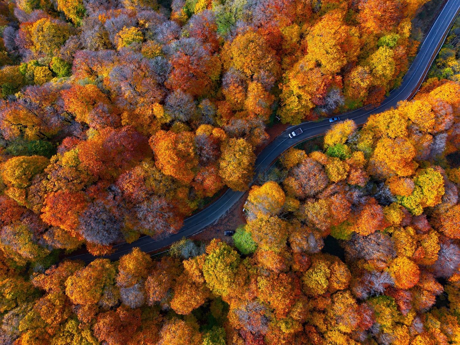 , Игорь Щербаков