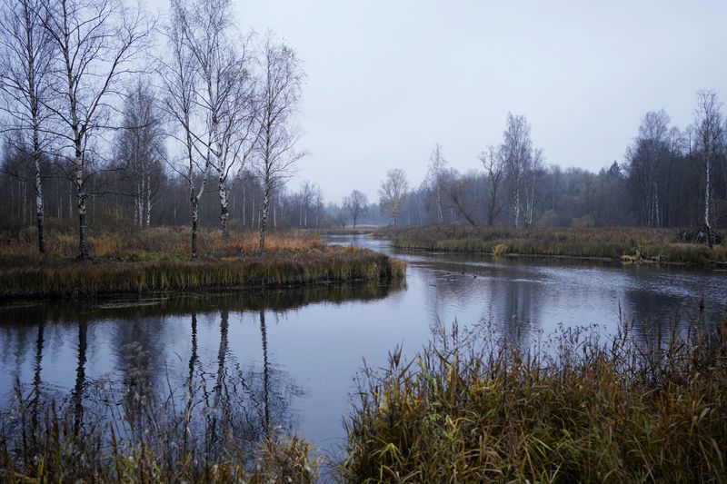 Прогулка в Зверинце фото превью