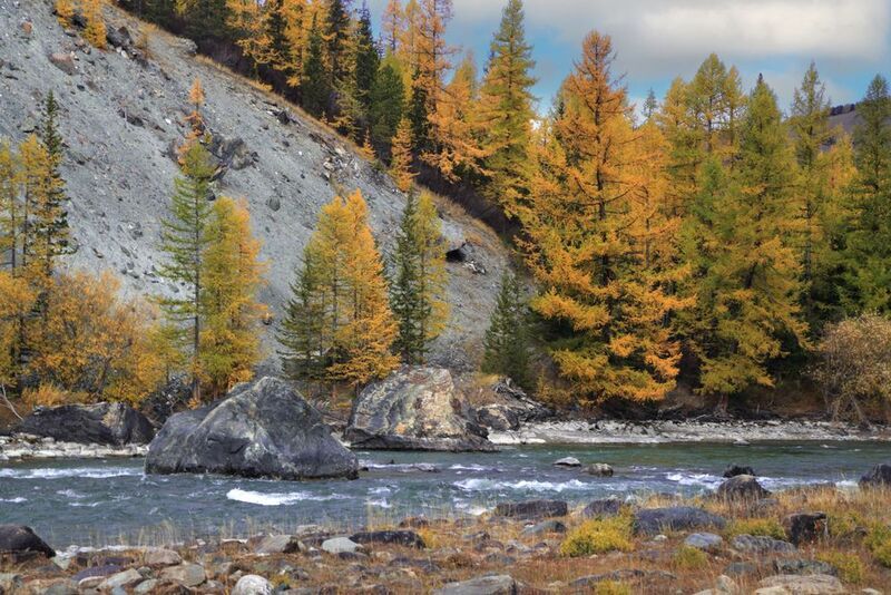 р. Чуя фото превью