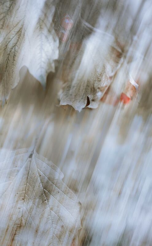 icm, мультиэкспозиция Белый лист фото превью