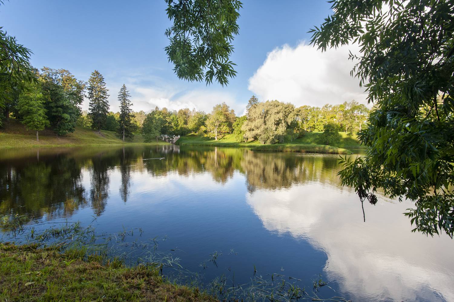 , Георгий Сапожников