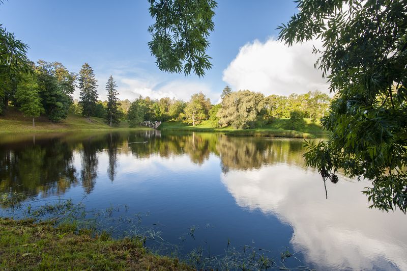 Утро фото превью