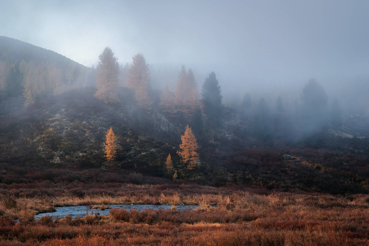 , Бодрягин Виталий