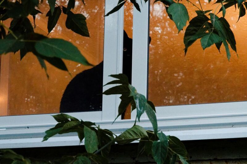 Камера наблюдения фото превью