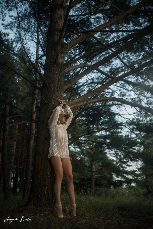 фото превью