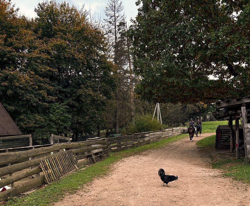 будни фермы фото превью